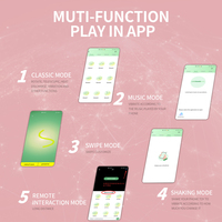 APP-gesteuerter Klitoris-Stimulator Vibrator für Frauen Tragbare Vibratoren Weibliche Masturbation Magnetische Höschen Sexspielzeug für Erwachsene