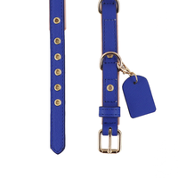 Marque de luxe personnalisée collier en cuir Durable Pet Airtag boucle en métal cuir chien accessoires collier de chien fabricant