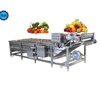 Automatische fruit- en groentenreinigingsmachine met nanobellen en motor - milieuvriendelijk merk SK