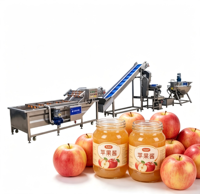 Hoge capaciteit automatische fruitjam productielijn, roestvrijstalen kook- en voedselverwerkingsapparatuur te koop