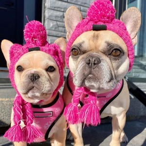 Gorro para Bulldog Francés con Diseño de Pompón, Cálido para Invierno, Color Sólido - Product Image 1