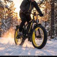 Bicicleta Eléctrica de Montaña de 26 Pulgadas, Todoterreno, de Alta Calidad, con Neumáticos Anchos, OEM, Elektro Fahrrad, Bicicleta Eléctrica para Adultos, E-Bike, MTB