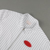 Chemises Oxford à manches courtes pour hommes, coupe droite décontractée, avec broderie et rayures fines, pour un usage quotidien