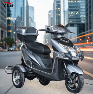 Moto <span class=keywords><strong>électrique</strong></span> pour adultes <span class=keywords><strong>1000W</strong></span> OEM d'usine, <span class=keywords><strong>Quad</strong></span> Stealth Bomber, batterie au plomb-acide 60V, en promotion à prix réduit - Product Image 1