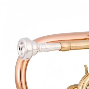 Trompeta <span class=keywords><strong>Corneta</strong></span> de Latón de Alta Calidad en Si bemol, Lacado Dorado, Bronce Fosforoso Tricolor, Instrumento de Viento con 3 Válvulas de Pistón para Principiantes - Product Image 6