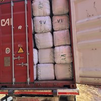 Daun Salam Kering Alami Berkualitas Tinggi Kelas Satu AD Mentah 5-10cm 25kg Kantong PP Bersertifikat ISO/HACCP Rasa Pedas Turki Panen Terbaru