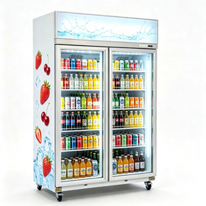 Réfrigérateur commercial vertical à deux portes vitrées, éclairage LED, vitrine à boissons pour magasin - Product Image 1