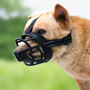 도매 제조업체 직접 애완 동물 제품 개 마스크 조절 가능한 가죽 끈 물린 방지 애완 동물 훈련 개 총구 - Product Image 3