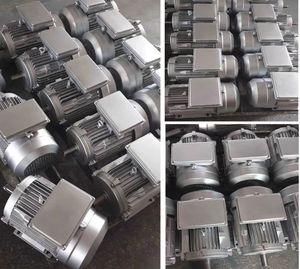 มอเตอร์สามเฟส 0.5 แรงม้า 0.75 แรงม้า 1 แรงม้า 2 แรงม้า 3 แรงม้า 4 แรงม้า 5.5 แรงม้า 7.5 แรงม้า 10 แรงม้า มอเตอร์เหนี่ยวนำแบบ MS  แบบ TEFC  โครงอะลูมิเนียม  B3 B5 B34 B35 - Product Image 5