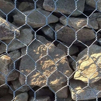 Grillage Gabion en fil de fer galvanisé, cage hexagonale sur mesure 100x120mm, anticorrosion, durable, pour murs de soutènement de rive