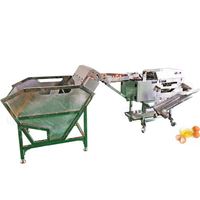 Fabricant automatique machine de pasteurisation et de classement des œufs de poule à bas prix
