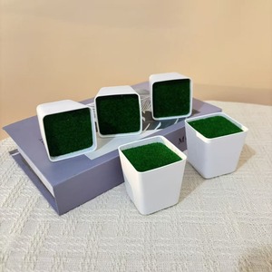 Pot de fleurs carré en plastique Paulon blanc 5,5 cm avec mousse pour la décoration intérieure et la plantation sur bureau - Product Image 3