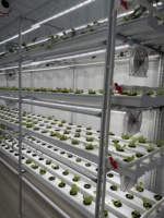 Canal de culture hydroponique NFT en PVC de qualité alimentaire pour la culture commerciale de la laitue et des légumes en serre
