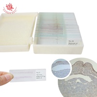Frog Embryo Prepared Microscope Slides 28Items Microscope Prepared Teaching Slides With Wooden Case
