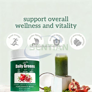 ODM & OEM Vegan Daily Greens Apoio Imunidade Em Pó Gut Saúde Green Food Mistura Em Pó Vitaminas Bem-Estar Proteína - Product Image 3
