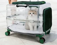 Caisse de transport rigide à roulettes pour animaux de compagnie, avec fermeture éclair, pour chiens et chats, transport aérien, accessoires pour animaux de compagnie