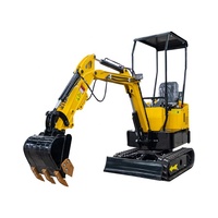 Mini-excavatrices diesel multifonctions automatiques de haute efficacité, marque de premier plan, pour usage agricole, de jardin et de construction, à vendre