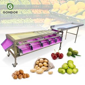 Machine de tri et de calibrage de taille pour tomates cerises aigres industrielles, à base de pesée, à vendre - Product Image 1