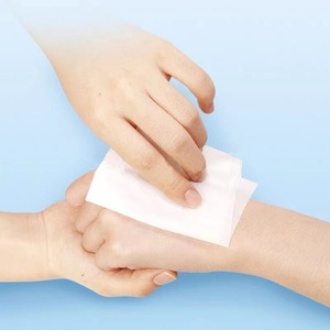 Toallitas Desinfectantes con Alcohol al 75% Hyno-Best, 12cmx16cm, Paquete de 10, Toallitas Antisépticas para Limpieza y Desinfección - Product Image 1