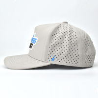 Custom Unisex Hoge Kwaliteit 5-Panel Terry Rubber Logo Performance Sport Pet Waterdicht Laser Cut Hole Geperforeerd Fruit