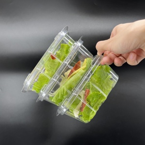 Hộp Nhựa Đựng Trái Cây 16OZ Dùng Một Lần Nắp Thú Cưng Trong Suốt Hộp Đựng Trái Cây Đóng Gói Dâu Tây Với Phong Cách Chống Giả Mạo - Product Image 4