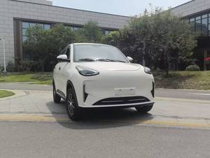 <span class=keywords><strong>Voiture</strong></span> électrique miniature à énergie nouvelle haute performance, basse vitesse en <span class=keywords><strong>vente</strong></span>, 60-70 km/h, entièrement fermée, 3500 W, double usage électrique pour adultes - Product Image 5