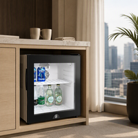 Mini Refrigerador Termoeléctrico Compacto de 30L con Puerta de Plástico para Negocios, Hoteles, Escritorio, EE. UU.