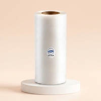 Rouleaux de film PET DTF à haute transfertabilité, mat, 30/60 cm, A3, pour vêtements, film de transfert thermique, matériau d'impression par transfert thermique pour vêtements