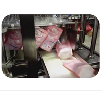Machine de remplissage de sacs à buse linéaire de haute précision pour 150g-3000g