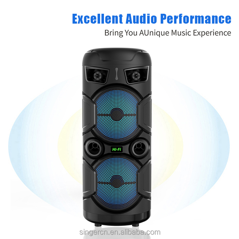 ZQS2806 Dual 8 Inch Portable Speaker - Heavy Bass & LED Lights
