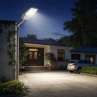 Venta al por Mayor de Fábrica: Farola Solar de 500W, Doble Cara, Monocristalina, 199 LED, Brillo Ajustable, para Jardín, Villa y Carretera