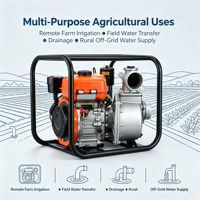 Pompe à eau diesel manuelle de 3 pouces avec démarreur à rappel, haute pression, fiable, portable, pour l'irrigation agricole