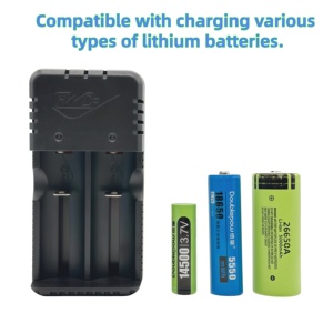 Chargeur de batterie lithium intelligent rapide <span class=keywords><strong>à</strong></span> double fente 1200 mA USB pour 26650/18650/14500/16340 avec démarrage <span class=keywords><strong>à</strong></span> zéro tension et protection contre les surcharges pour appareil photo - Product Image 6