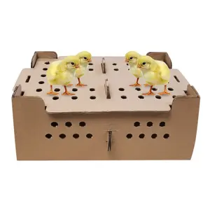 Day Old Chicks Transport Box Factory Bird Box Shipping Divided Transport Carton Carrying Chick Boxes