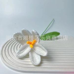 Bouquet de fleurs en laine colorées, tissées à la main, cadeau personnalisé, fleurs au crochet faites à la main, cadeau pour elle - Product Image 5