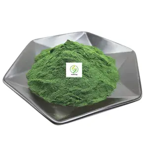 Poudre de chlorophylle super verte naturelle pure de qualité alimentaire en gros