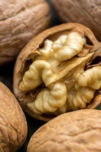 Nueces enteras crudas con cáscara, color marrón, forma natural, frescas, orgánicas, DALAI IMPEX Orissa - Product Image 2