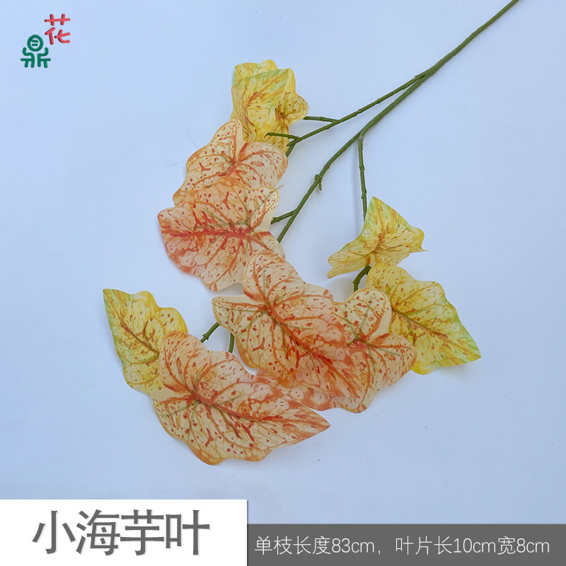 Petites feuilles de calla SQD orange-jaune