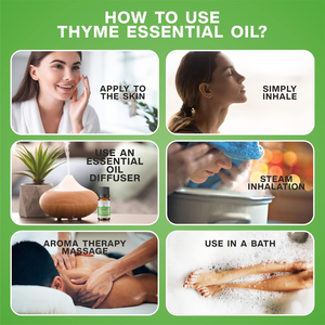 Ensemble d'huiles essentielles biologiques naturelles pures 100% pures Tea Tree Lavande Eucalyptus Aromathérapie Nourrissante OEM Soins du corps - Product Image 3