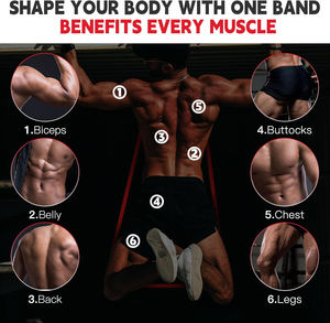 Bandes d'assistance pour tractions bicolores, 5 niveaux de résistance en TPE, pour l'entraînement, bandes d'exercice pour tractions pour hommes et femmes à la salle de sport - Product Image 6