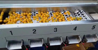 Machine de lavage et de tri des fruits, machine de tri des citrons