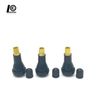 Fourniture directe voiture Auto pièces valve de pneu Tubeless pneu Valve Nature caoutchouc pneu Valve TR413 pour voitures