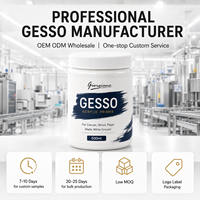 Giorgione Gesso Acrylique Blanc Personnalisé 500ml – Pâte de Modelage Texturée Transparente pour Artistes et Fournitures Artistiques