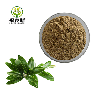 Großhandel Olivblattextrakt 10% 20% 40% <span class=keywords><strong>50</strong></span>% 60% Oleuropein Pulver Olivblattextrakt - Product Image 1