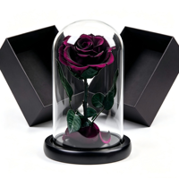 Roses noires préservées sous cloche en verre, fleurs préservées de taille moyenne en provenance de Chine, coffret cadeau pour femmes