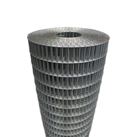 Rouleau de treillis soudé galvanisé 25x25mm 50x50mm, feuille de treillis métallique pour clôture de jardin DIY, enclos pour lapins et poulets