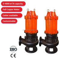 Pompes submersibles portables à faible volume pour eaux usées, série WQ, en acier inoxydable, à prix abordable, avec moteur AC