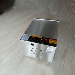 Séchoir industriel 120kg à haute efficacité pour mangue et légumes Séchoir à fruits et légumes de grande capacité - Product Image 5