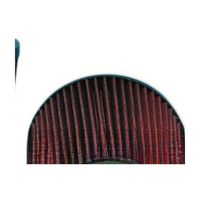 Pièces de moteur diesel pour pompe à incendie YW697, filtre à air pour pompe à incendie CLARKE RU2590 RU-2590