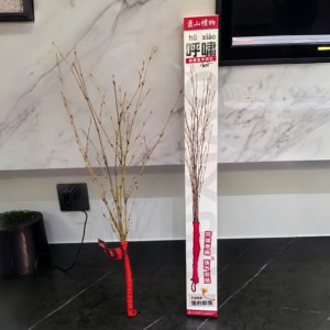 L'histoire dit qu'il existe un artefact ancien, communément appelé Wuthering auprès du public, qui aide les enfants à surmonter leurs difficultés. - Product Image 1